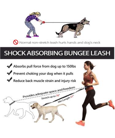 Pet Room Jogging Leash for Dogs - Elastic & Reflective Running Leash with Hip Belt for Large & Medium Dogs - Perfect for Running Jogging & Hiking - Buy Online on GoSupps.com