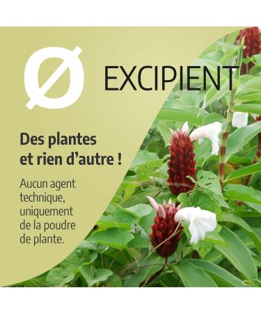 Ginger 280mg - 200 capsules - Buy Online on GoSupps.com