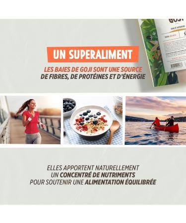  123gelules Goji Berries Greenfood Original Ningxia (Lycium Barbarum) 500g x 2 - Buy Online on GoSupps.com