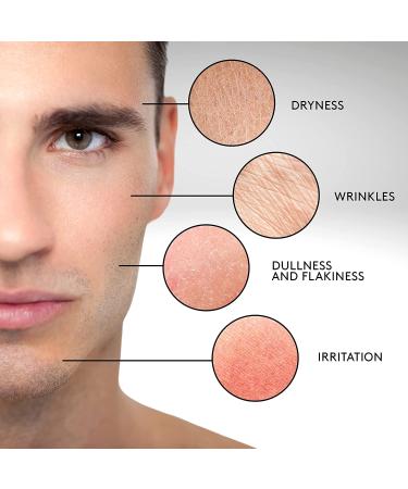 Freelette Shave Balm + Moisturizer | Pre & After Shave Lotion Cream for Electric Close Shave | Men's Facial Moisturizer - Buy Online on GoSupps.com