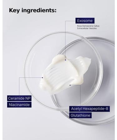 ASCE+ PLUS Exo Balm SR2 Night Cream - Buy Online on GoSupps.com