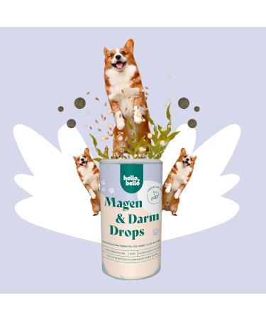 Hellobello Gastrointestinal Drops for Dogs - 3 x 350g | Supports Digestion Colon Regulation & Healthy Intestinal Flora with Probiotics & Prebiotics - Buy Online on GoSupps.com