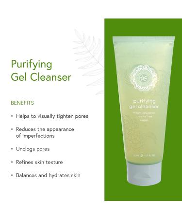 Honeybee Gardens Purifying Gel Cleanser | Vegan & Cruelty-Free | 5.1 fl. oz. | Best for All Skin Types | Shop Internationally - Buy Online on GoSupps.com