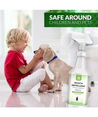 NATURAL OUST Peppermint Oil Roach Repellent Spray - Eco Friendly Indoor/Outdoor Control - Buy Online on GoSupps.com