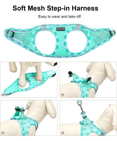 Doramio Reflective Dog Harness for Small Dogs & Cats - Breathable Step-In Design with Leash - XS Light Green - Buy Online on GoSupps.com