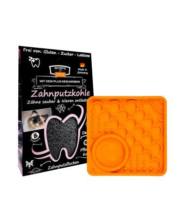 QCHEFS KidneyDental Kitty with 1x toothbrush charcoal for cats: as dental care for inflammation and tartar including drinking bowl!