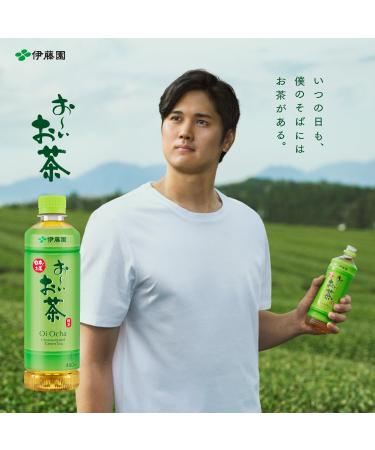 Itoen Japanese Tea - ITO EN Oi Green Tea Sticks (100 Count) | Premium Quality & Authentic Flavor - Buy Online on GoSupps.com