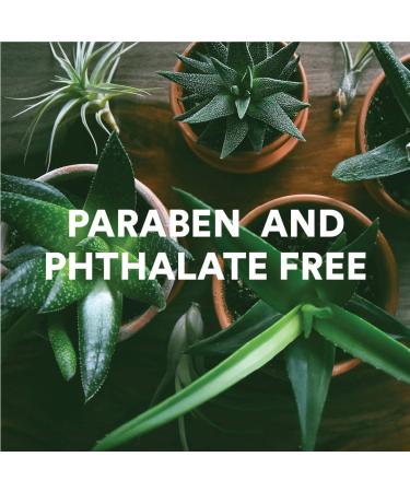 Camille Beckman Glycerine Hand Therapy Cream 6oz - Vitamin E Unscented - Buy Online on GoSupps.com