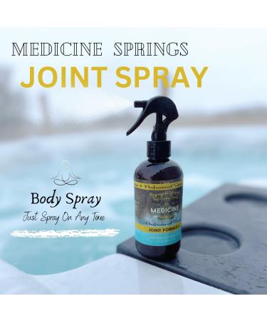 Medicine Springs Mineral Therapy Healing Spray Professional Serious 8oz (from Natural hot Springs) (Joint (Professional)) - Buy Online on GoSupps.com