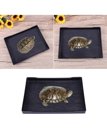 ULTECHNOVO Reptile Bowl - Anti-Slip Feeder & Water Dish for Pets - 24.5x18x2cm - Buy Online on GoSupps.com