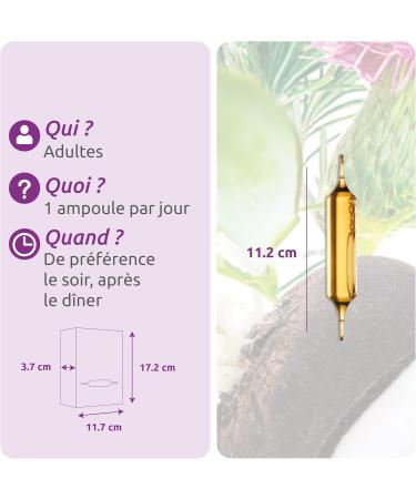 HERBESAN QUARTET WELLNESS OF THE FOIE Black Radish Artichoke Milk Thistle Rosemary French Laboratory 20 ampoules of 10 ml - Buy Online on GoSupps.com