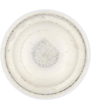  Dove Dove Extra-Rich Foaming Shower Gel with Coconut Oil Indulgent and Exotic Fragrance Dermatologically Tested Formula Pack of 3 x 200ml - Buy Online on GoSupps.com