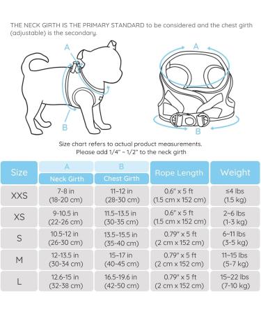 Shop Bella & Pal Dog Harness for Small Dogs | Step-In Air Mesh Reflective & Breathable Design with Leash - Sky Blue (L: 42-50cm) - Buy Online on GoSupps.com