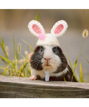 Xuniea Mini Hand Knitted Hat - Pet Costume Accessories for Small Animals - Buy Online on GoSupps.com