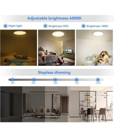 24W RGB LED Ceiling Lamp with Remote Control | Dimmable 4000K Color Change Panel for Kids' Bedroom Living Room & Bathroom - 29.5cm Peasur - Buy Online on GoSupps.com