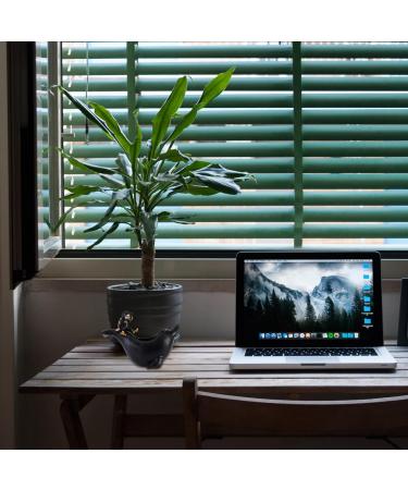 Zerodeko 27x19cm Storage Bracelet Plate - Decorative Jewelry & Sweets Holder Resin Dolphin Design for Home & Tablet Serving - Buy Online on GoSupps.com