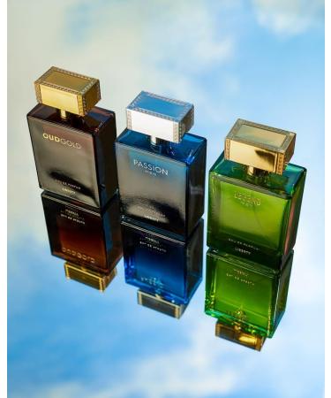 Liberty Luxury Passion Perfume for Men (100ml/3.4Oz) Eau De Parfum (EDP) Spray Long Lasting Smell Designed in France Spicy Notes Passion (100ml / 3.4 Oz) - Buy Online on GoSupps.com