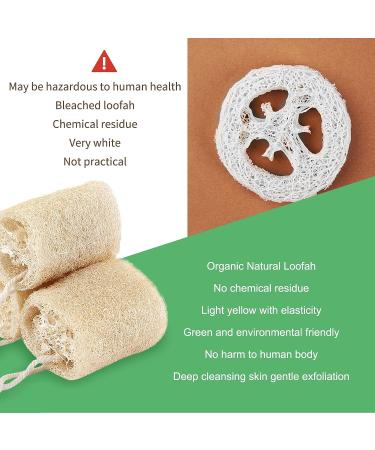 3PCS Natural Loofah Sponge Exfoliating Body Scrubber Set - Sustainable, Eco-Friendly, Egyptian Bath Get Clean - Ideal for Face & Back - Buy Online on GoSupps.com