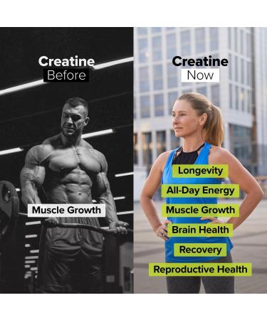 Complement Chocolate Protein & Creatine Bundle Plant-Based Protein Powder and Creatine Monohydrate for Enhanced Muscle Performance - Buy Online on GoSupps.com