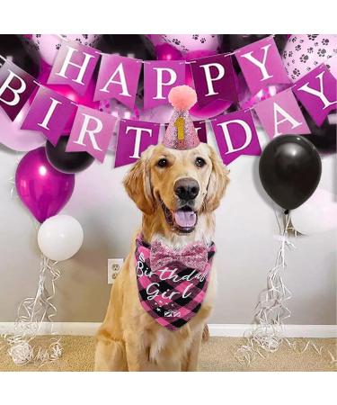 Dog Birthday Party Supplies - Girl Dog Birthday Bandana & Hat Set in Pink - Buy Online on GoSupps.com