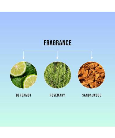 HASK Tea Tree Oil 5-in-1 Leave In Conditioner Spray - 6 Fl Oz | For All Hair Types | Color Safe, Gluten, Sulfate and Paraben Free - Buy Online on GoSupps.com