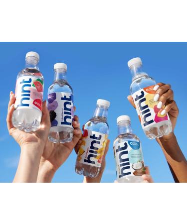 Hint Water Best Sellers Pack, 3 Bottles Each of: Watermelon, Blackberry, Cherry, and Pineapple, Zero Calories, Zero Sugar and Zero Sweeteners, 16 Fl Oz (Pack of 12) - Buy Online on GoSupps.com