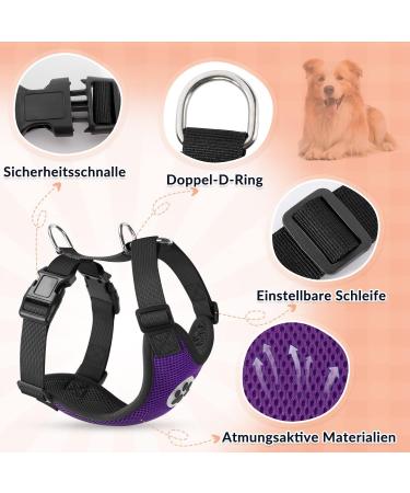 Slowton Dog Harness for Small & Medium Dogs | No-Pull Safety Soft Padded Breathable | Buy Now! - Buy Online on GoSupps.com