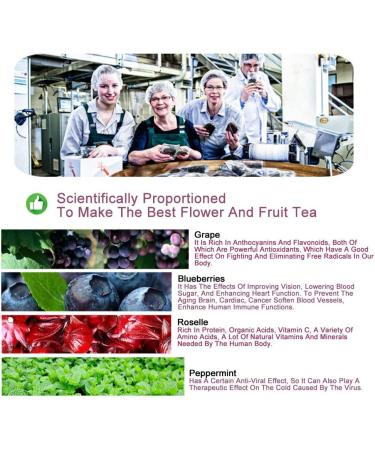 Plant Gift Ireland Spring Fruit Tea Oganic Fruit Herbal Tea All Natural Flavors Loose Leaf Roselle Grapes Blueberries Peppermint Non GMO Vegan Tea Bags Into Iced Tea & Hot Tea 70G/2.5oz - Buy Online on GoSupps.com