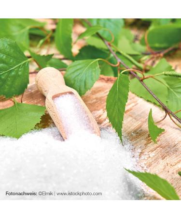 Raab Vitalfood Premium Birch Sugar - Vegan Xylitol Sweetener 1:1 Sugar Alternative Tooth-Friendly Bulk Pack 750g - Buy Online on GoSupps.com