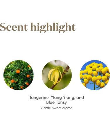 Young Living Peace & Calming Essential Oil 5ml | Aromatherapy Diffuser Oil | Relaxation Vegan Gluten-Free | Ideal for Meditation - Buy Online on GoSupps.com