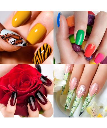 ANGENIL 5 Pcs Acrylic Nail Art Brushes & Dotting Pen Set for DIY Manicure | Nail Art Tools for Drawing, Painting, and Point Drill Designs - Buy Online on GoSupps.com