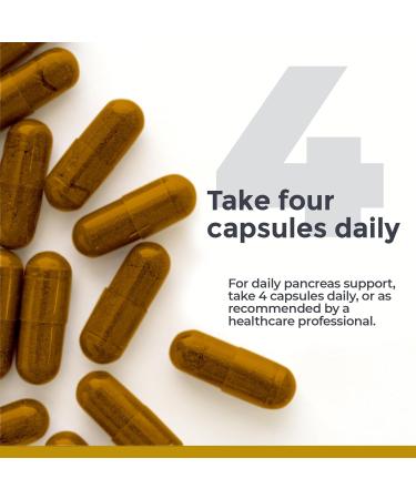 Premier Research Labs PancreVen - Pancreas Support Pancreas Supplement Cinnamon Supplements with Organic Ceylon Cinnamon & Prickly Pear to Aid Pancreas Health - 120 Vegetarian Capsules - Buy Online on GoSupps.com
