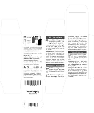 Propolis Spray (Propolis) Resin Hydroalcoholic Mother Tincture NATURALMA | Liquid Extract 30 ml | Food Supplement With alcohol 30 ml (Pack of 1) - Buy Online on GoSupps.com