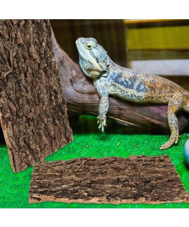 ULTECHNOVO 3Pcs Cork Bark Terrarium Background Set | Reptile Climbing Wall Decor for Turtle, Gecko, Lizard | Habitat Accessories for Terrariums - Buy Online on GoSupps.com
