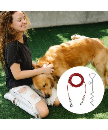 Intestinal Piral Peg with Leash - 15 Inch Tie-Out for Small to Medium Dogs | Durable Stainless Steel Floor Anchor for Courtyard & Camping (Red) - Buy Online on GoSupps.com