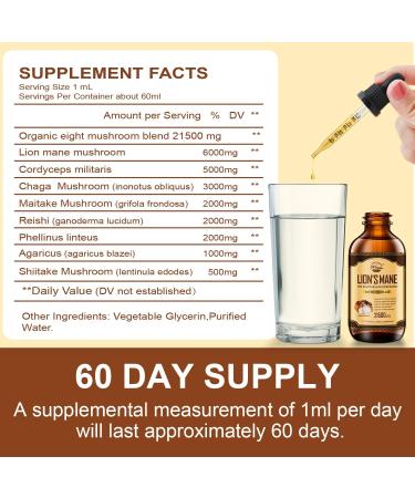 Lions Mane Supplement Liquid Mushroom Extract Drops 8 Mushrooms Complex for Cognitive Support and Immunity Boost Up to 2 Month Supply Mushroom Supplement with Lion's Mane Cordyceps Reishi 2 Fl Oz (Pack of 1) - Buy Online on GoSupps.com