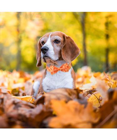 Buy Aring Pet Autumn Dog Hales Band - Adjustable Yellow Cotton Dog Collar with Bow & Autumn Leaves Design - Medium Size - Buy Online on GoSupps.com