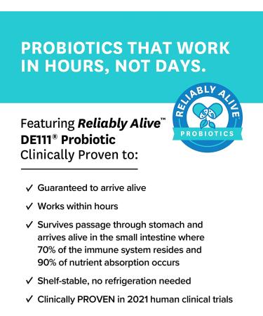Zenwise Probiotic + Kombucha + Beauty - 60 Veg Capsules for Digestive Health - Buy Online on GoSupps.com