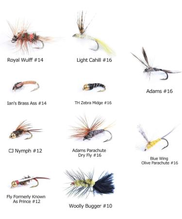 Maximcatch 10-Piece Fly Fishing Set with Fly Box | Best Seller Wet & Dry Flies Nymphs Streamers Shop Now! - Buy Online on GoSupps.com