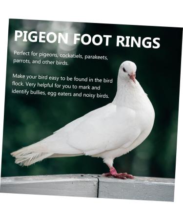 Mipcase 300 pcs Pigeon D Distinguish Private Tool Bands- Lovebirds Ringd Pigeons Homing - Marker Place 1.1x0.8cm x3pcs Colorfulx3pcs - Buy Online on GoSupps.com