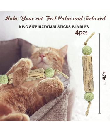 4-Pack Organic Catnip Sticks for Dental Care | Cat Chewing Toys & Caust Sticks Set - Buy Online on GoSupps.com