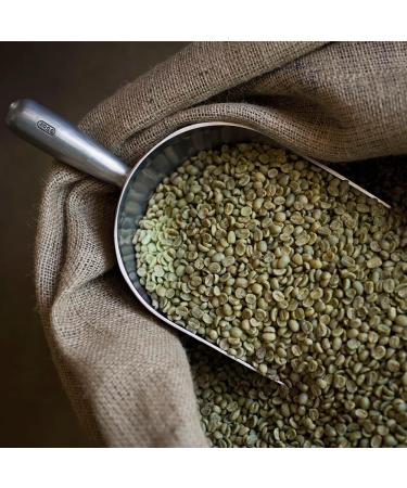 Organic Peruvian Fairtrade Coffee Bags - 50 Single Origin Coffee Bags by Moreish - Buy Online on GoSupps.com