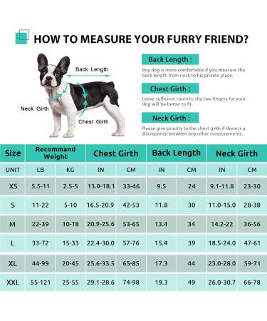 Buy Cit toile Dog Life Jacket - Shark Design Safe & Lightweight Swimming Vest for Small Medium & Large Dogs - Reflective Handle Gray/Blue - Buy Online on GoSupps.com