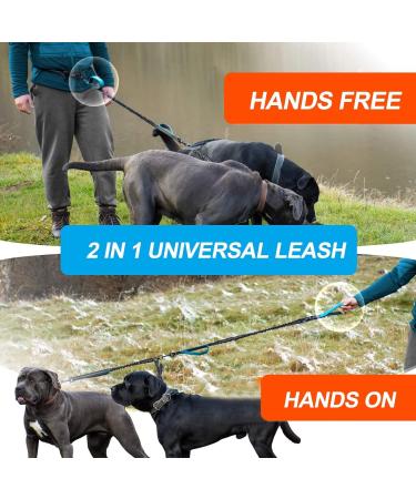 KAYTOW Hands Free Double Dog Leash Dual Dog Leash for Medium and Large Dogs Dog Leash for 2 Dogs with Padded Handles Reflective Stitches No Pull Tangle Free (Blue for 2 Dogs) - Buy Online on GoSupps.com