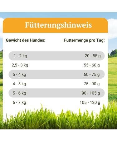 Landgut-Schmaus Mini - 2.5 kg. Hypoallergenic grain-free dog food based on insect protein from Bellfor. Ideal for small breeds. - Buy Online on GoSupps.com