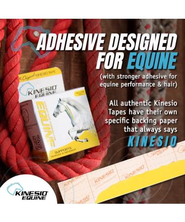 Buy Kinesio Equine Tape - Tex Gold FP Horse Tape 2"x16' Green - Ideal for Horse Support & Injury Prevention - Buy Online on GoSupps.com