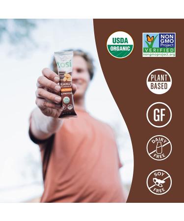 Tosi Organic SuperBites Vegan Snacks Super Combo - Peanut Dark Chocolate & Cashew Coconut, Gluten Free, Omega 3s, Fiber - 12 Pack Variety - Buy Online on GoSupps.com