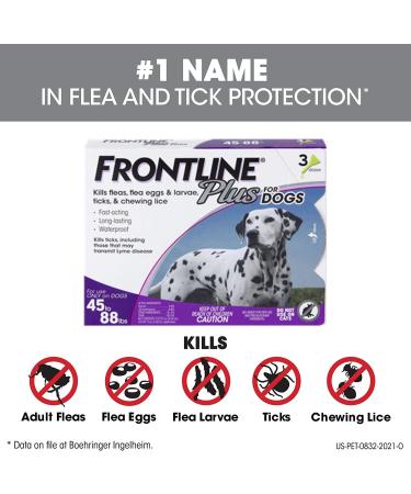 FRONTLINE Plus Flea & Tick Treatment for Large Dogs (45-88 lbs) - Effective Protection - Buy Online on GoSupps.com