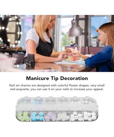 3D Cute Flower Nail Charms Nail Glitter Charm Rhinestones Ornaments Nail Art Decorations Glitter Accessories for DIY Craft Nail Art Design Manicure Decor - Buy Online on GoSupps.com