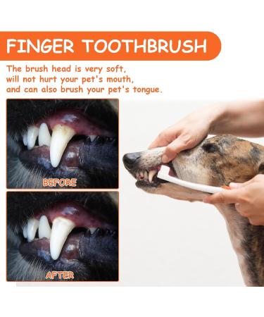 Dog Toothbrush & Toothpaste Set - Tartar Control & Dental Care for Dogs | Beef Flavor | Protect Your Dog's Teeth - Buy Online on GoSupps.com